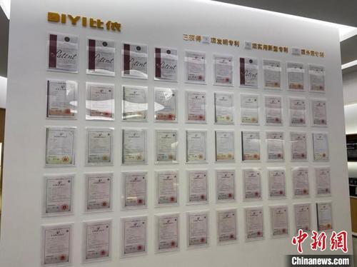 中国侨网比依电器部分专利展示。　林波　摄