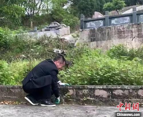 中国侨网赵德金在扫墓 赵德金 供图