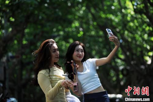 中国侨网游客在“梧桐区”拍照留念。　汤彦俊　摄