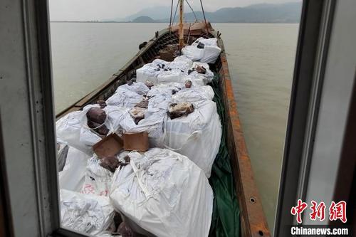 中国侨网图为涉案船舶及所运载的冻品。 福州海警局供图