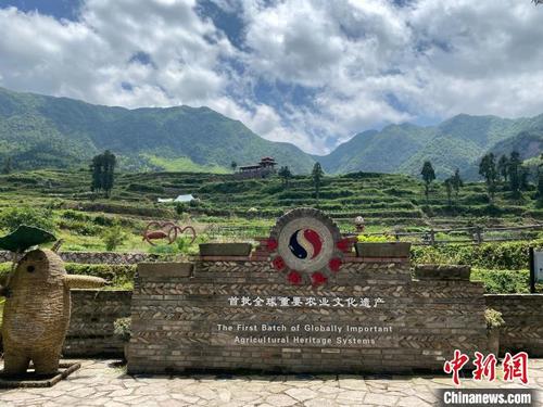 中国侨网图为龙现村。　中新社记者 薄雯雯　摄