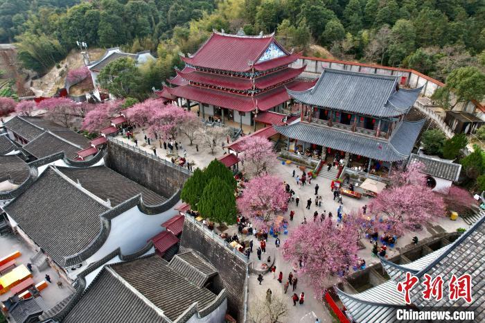 中国侨网2月5日，福建福州，游客到千年古刹林阳寺赏梅。每年冬季，尤其是春节期间，林阳寺的梅花盛开，吸引了大量游客和摄影爱好者前来赏梅。梅花与古寺相映成趣，形成一幅美丽的画卷，成为福州冬日里的一大胜景。（无人机照片）中新社记者 王东明 摄