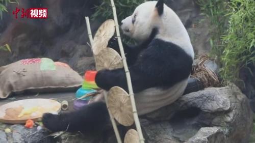 中国侨网