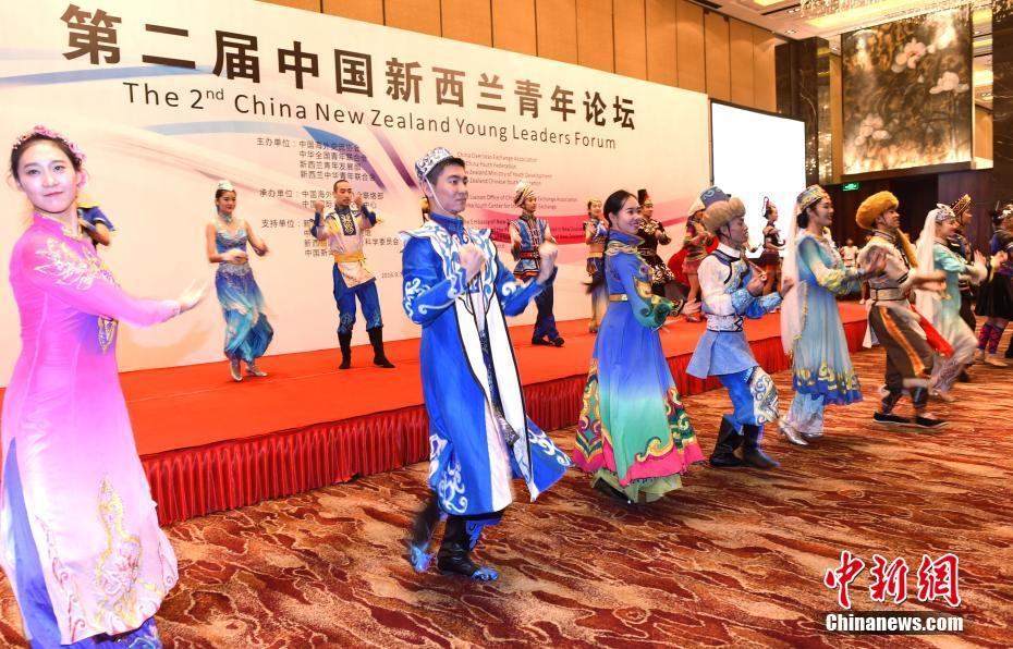 “第二届中新青年论坛”在北京举行