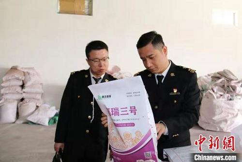 中国侨网图为兰州海关工作人员对出口种子开展检疫监管。(资料图)兰州海关供图