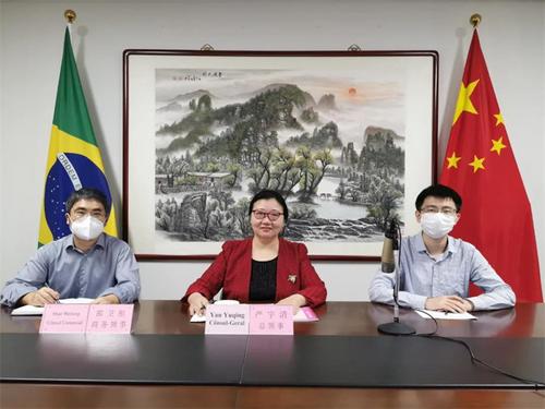 中国侨网“百年征程——中巴智库线上对话会”举办。中国驻累西腓总领事馆供图