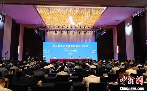 中国侨网图为会议现场。 林浩 摄