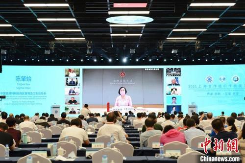 中国侨网中国香港特别行政区食物及卫生局局长陈肇始通过视频分享了香港中医药发展最新情况。 刘占昆 摄