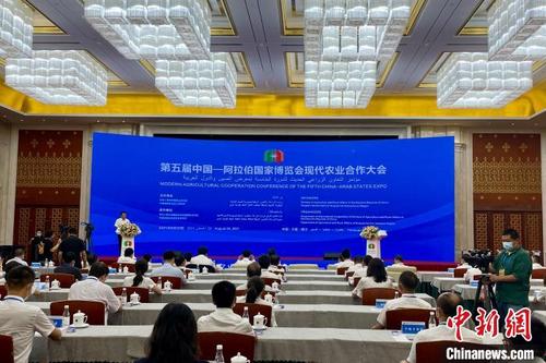 中国侨网会议现场。 李佩珊 摄