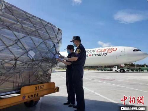 中国侨网图为:福州长乐机场海关关员验放新冠病毒核酸检测试剂 (资料图)。 福州海关供图
