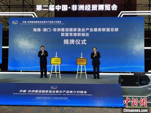 中国侨网9月28日,湖南-澳门-非洲葡语国家渔业产业服务联盟在长沙揭牌成立。 向一鹏 摄