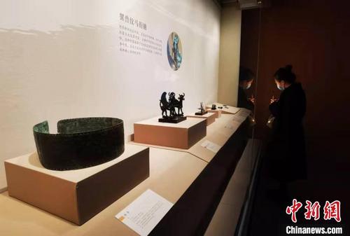 中国侨网民众正在参观展览 胡健 摄