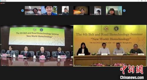 中国侨网线上会议现场 会议主办方供图