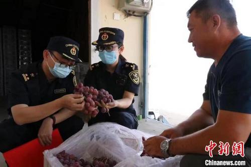 中国侨网图为兰州海关所属敦煌机场海关工作人员对出口水果进行检疫监管。(资料图) 赵冠宏 摄