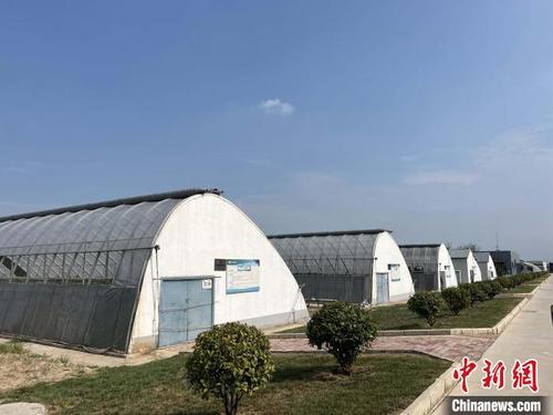 中国侨网图为杨凌智慧农业示范园。 李一璠 摄