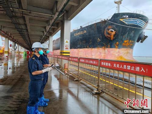 中国侨网海关工作人员监卸进口煤炭。 陈小明 摄