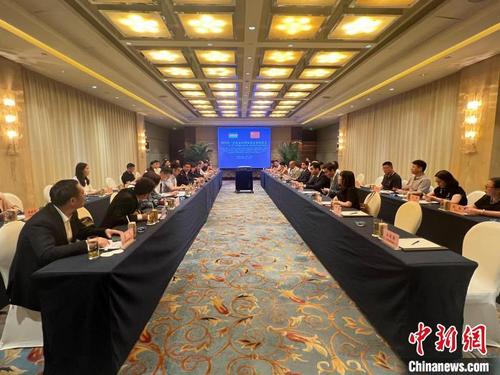 中国侨网座谈会现场。 岳依桐 摄