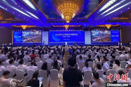 中国侨网2023年RCEP经贸合作高层论坛在山东青岛开幕。 王恺 摄