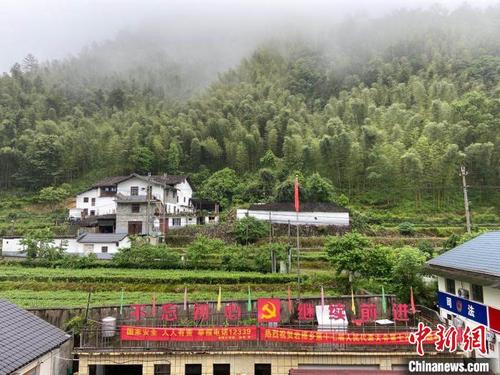 中国侨网龙泉岩樟乡的绿水青山。 项菁 摄