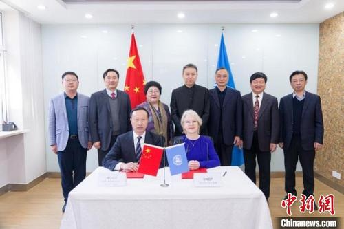 中国侨网万全 摄
