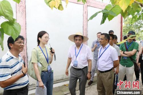 中国侨网外宾考察桑基鱼塘 沈勇强 摄
