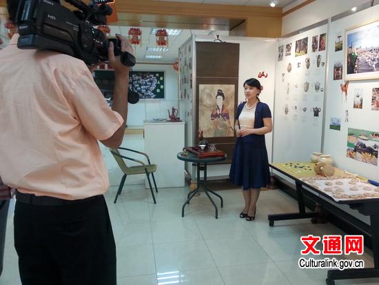 陈冬云参赞介绍中国小屋