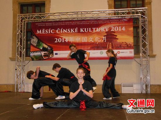 中国侨网捷克学生表演中华武术。