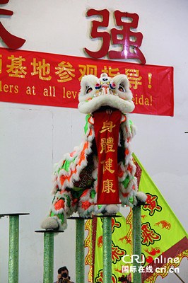 中国侨网舞狮表演。