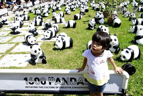 中国侨网妈妈，我和熊猫谁比较萌啊？（马来西亚《光明日报》）