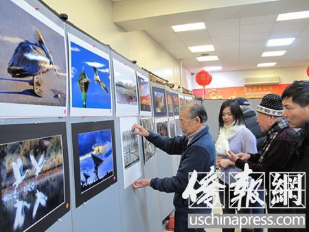中国侨网成立已11年的美国艺术摄影家协会,今后在美东联成公所安家。图为摄影爱好者参观展出的作品。(美国《侨报》/叶永康 摄)