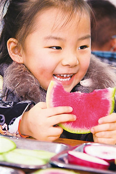 中国侨网山东枣庄实验幼儿园的小朋友在吃生萝卜“咬春”。(新华社发)