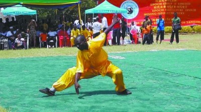 中国侨网第二届坦桑尼亚国际武术大赛比赛现场。