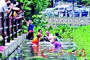 中国侨网七名壮汉协助老龙出水。(张宇杰 摄)