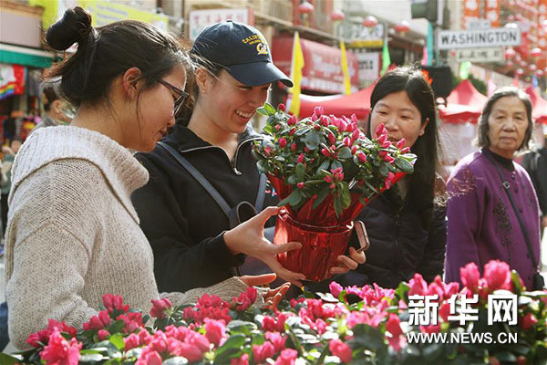 1月30日，在美国旧金山，三名女子在年宵花巿上选购鲜花。（新华社/刘艺霖