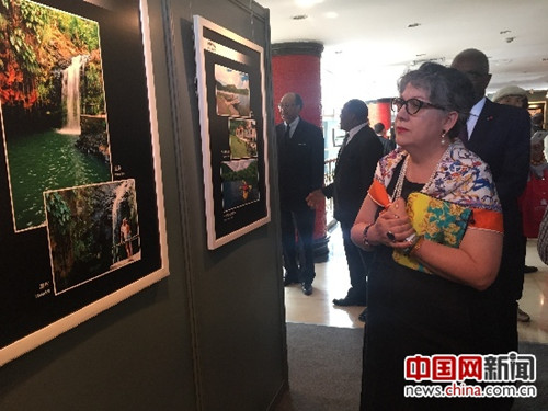 “加勒比国家文化图片展”在北京市友协开幕(雷滢
