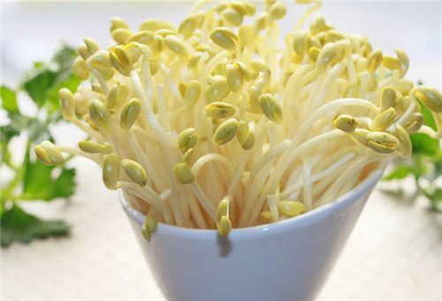中医解读今夏最宜食用菜 豆芽菜清热利湿解毒-中国侨网