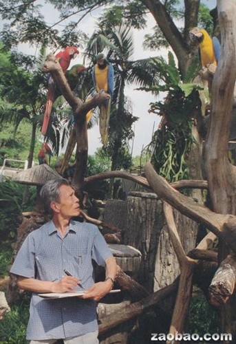 中国画家吴冠中于1990年在新加坡飞禽公园写生。（新加坡《联合早报》资料图）