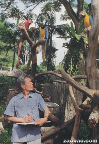 中国画家吴冠中于1990年在新加坡飞禽公园写生。(新加坡《联合早报》资料图)
