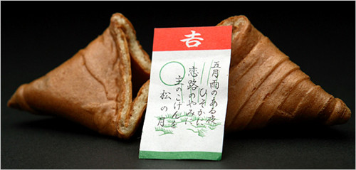 (美国《纽约时报》网站)