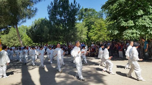 太极表演。（西班牙《欧华报》）