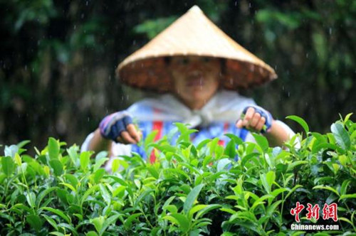 (资料图:中新网记者谭凯兴