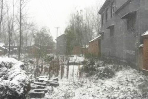 中国侨网“小雪”当日早上，丰县沛县等地农村已经大面积积雪。　朱志庚 摄