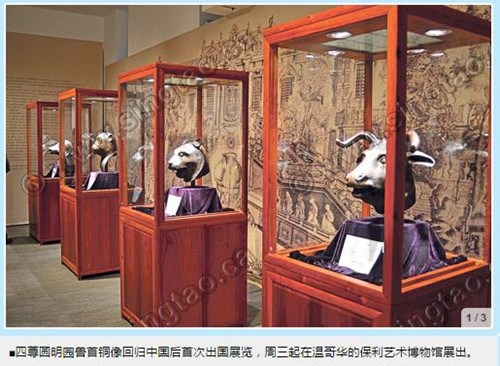 中国侨网四尊圆明园兽首铜像回归中国后首次出国展览。(加拿大《星岛日报》/庄昕 摄)