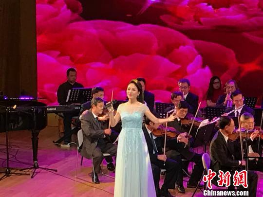 中国侨网中国选手在比赛中。(钟建珊 摄)