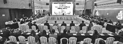 中国侨网浙江召开“二十四节气”保护传承座谈会。(陈兴长 摄）
