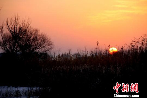 中国侨网(资料图:中新网记者陈礼 摄)