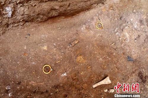 中国侨网大型墓葬主墓室出土的金饰件。 陕西省考古研究院