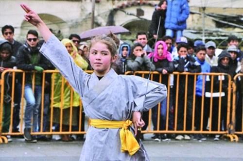 中国侨网1月24日,“2017欢乐春节·第二届中玻文化交流会”活动在玻利维亚拉巴斯市举行。图为拉巴斯市功夫协会带来的舞剑表演。