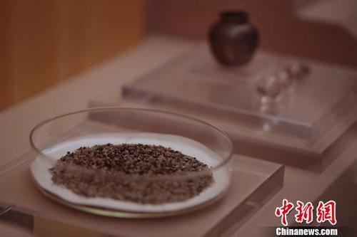 中国侨网3月10日，“千年古港——上海青龙镇遗址考古展”在上海博物馆正式对外开放，感应舍利等百余件青龙镇遗址出土的文物精品在此间展出。　张亨伟　摄
