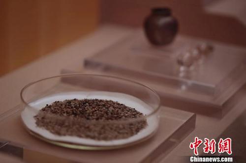 中国侨网3月10日,“千年古港——上海青龙镇遗址考古展”在上海博物馆正式对外开放,感应舍利等百余件青龙镇遗址出土的文物精品在此间展出。 张亨伟 摄